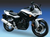 2009 Azel 250 GS photo